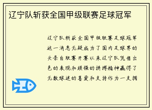 辽宁队斩获全国甲级联赛足球冠军